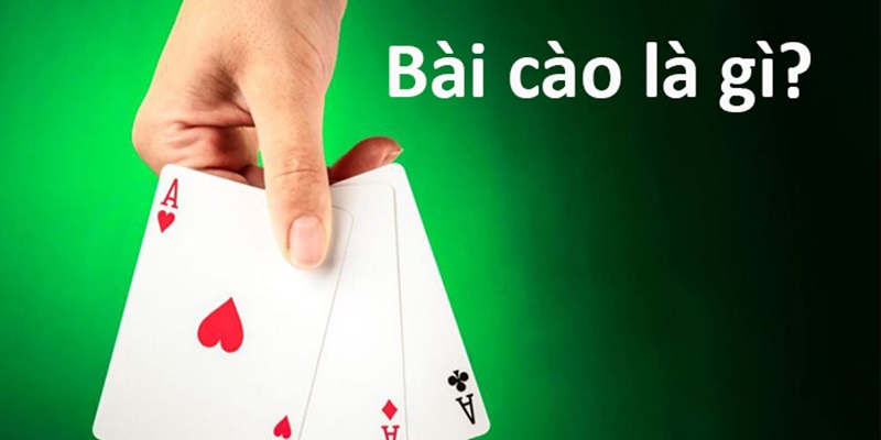 Bài cào mang đến nội dung hấp dẫn và quen thuộc